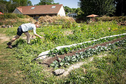 Festival de l’agriculture urbaine